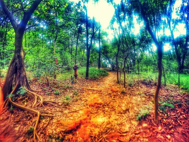 跑在2015 | 云山多秀色 绝妙在此间——记KOCR广州之巅挑战赛