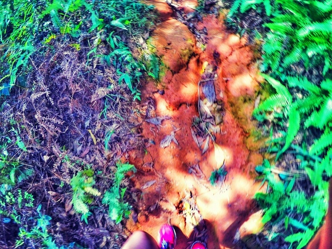 跑在2015 | 云山多秀色 绝妙在此间——记KOCR广州之巅挑战赛