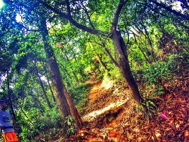 跑在2015 | 云山多秀色 绝妙在此间——记KOCR广州之巅挑战赛