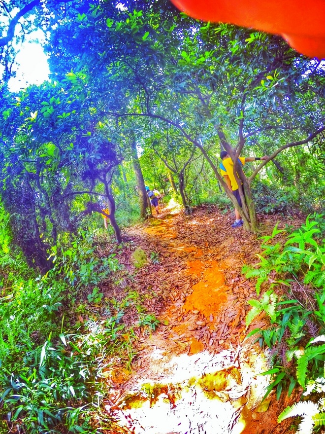 跑在2015 | 云山多秀色 绝妙在此间——记KOCR广州之巅挑战赛