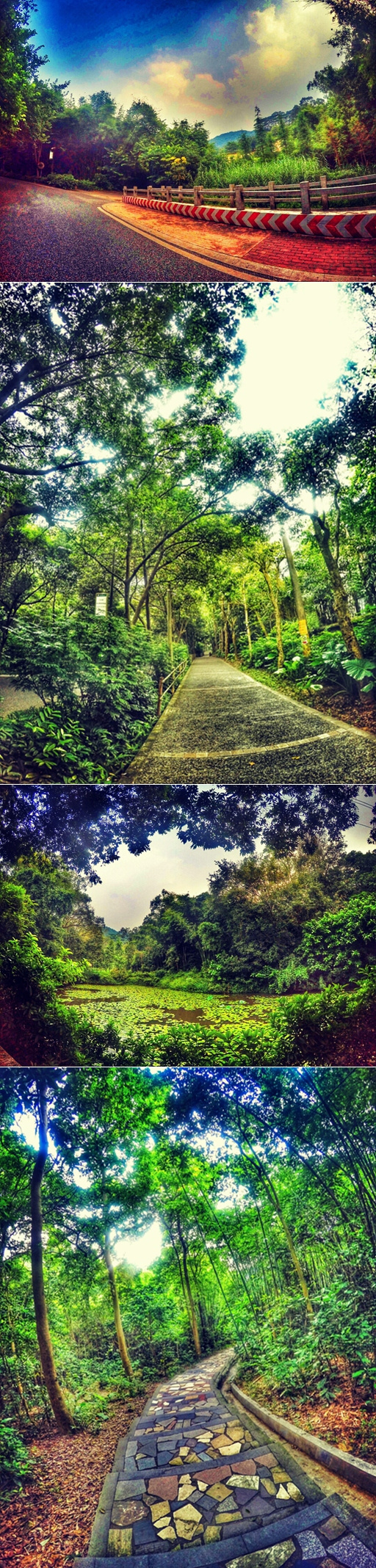 跑在2015 | 云山多秀色 绝妙在此间——记KOCR广州之巅挑战赛