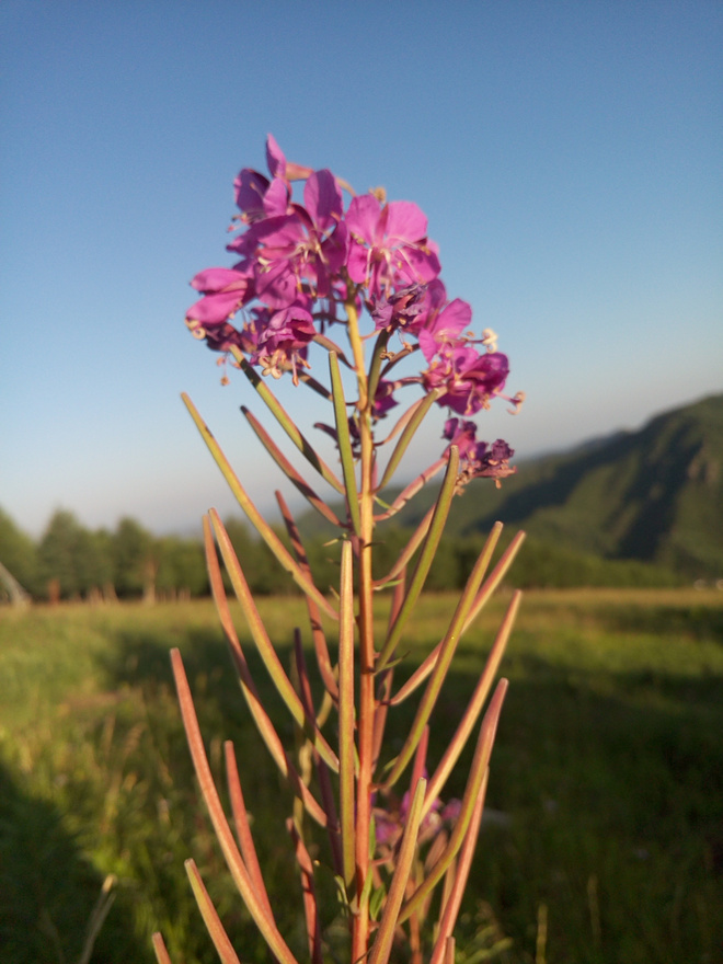 北马不缺席 | 2015北马训练日记（更新至9月19日）
