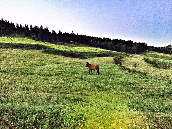 跑在2015 | 不如撒野