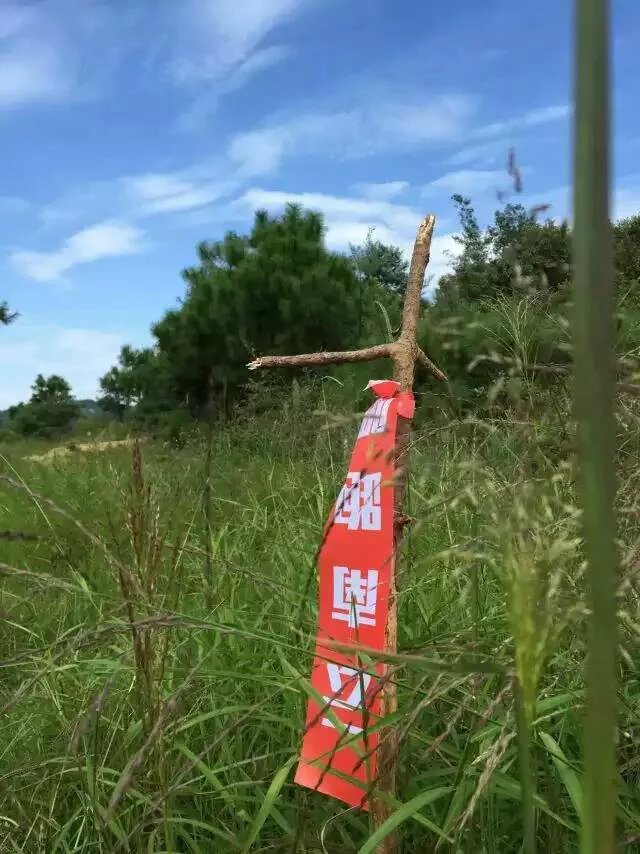 跑在2015 | 我们都是野孩子  ——参加“大神之路”昆明首届山地越野马拉松赛