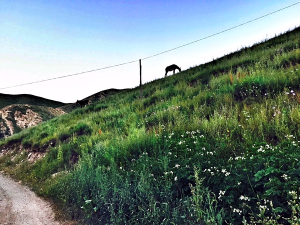 跑在2015 | 不如撒野