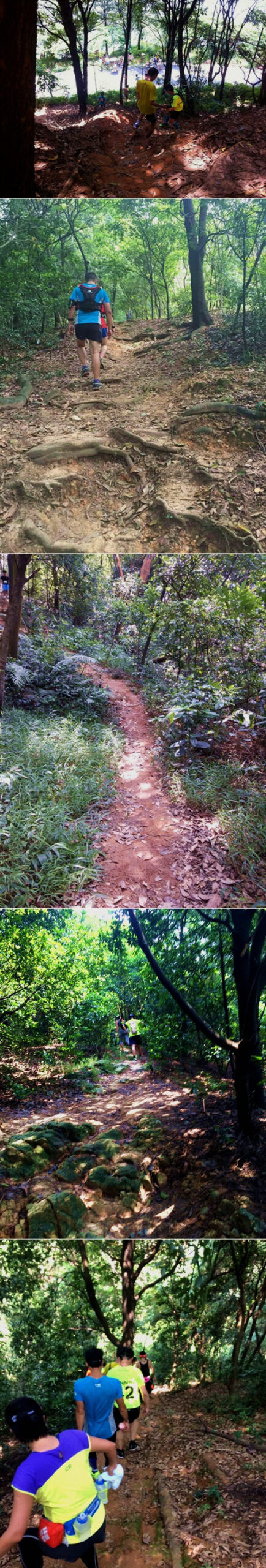 跑在2015 | 云山多秀色 绝妙在此间——记KOCR广州之巅挑战赛