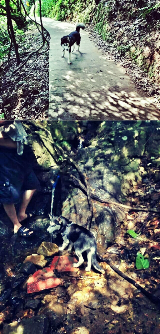 跑在2015 | 云山多秀色 绝妙在此间——记KOCR广州之巅挑战赛