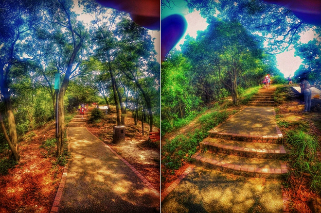 跑在2015 | 云山多秀色 绝妙在此间——记KOCR广州之巅挑战赛