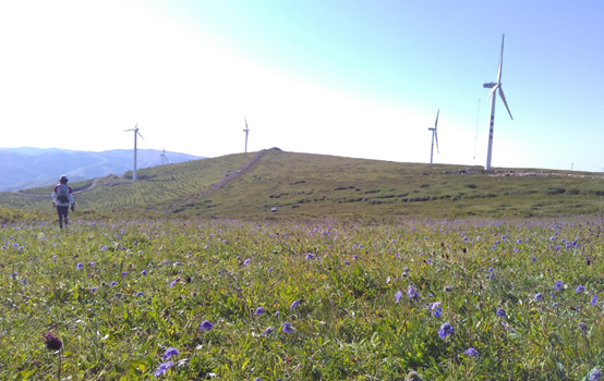 看上去很美 - 记首百2015崇礼100越野挑战赛