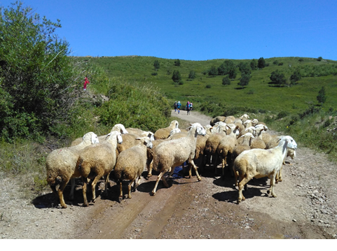 看上去很美 - 记首百2015崇礼100越野挑战赛