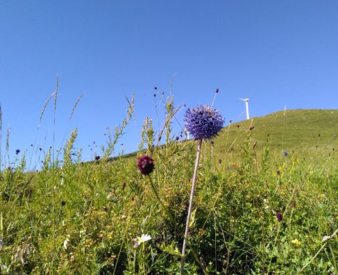看上去很美 - 记首百2015崇礼100越野挑战赛