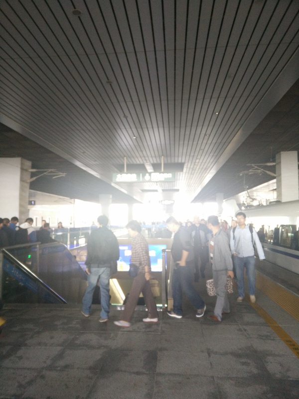 无兄弟，不跑马——第一次用脚来丈量42.195公里