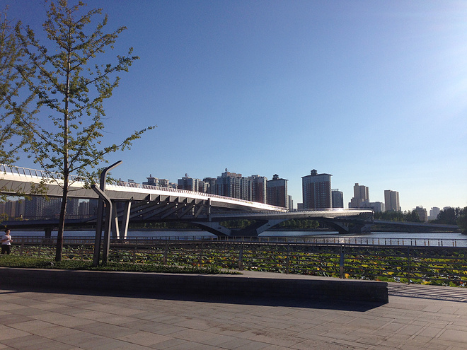 一次纯粹的公路半程马拉松赛、一次大众跑步的狂欢——太原马拉松日记