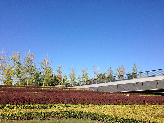 一次纯粹的公路半程马拉松赛、一次大众跑步的狂欢——太原马拉松日记