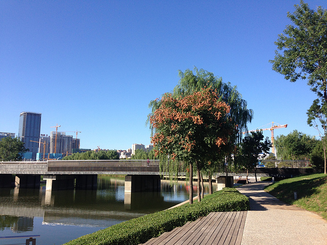 一次纯粹的公路半程马拉松赛、一次大众跑步的狂欢——太原马拉松日记