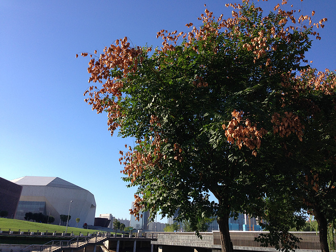 一次纯粹的公路半程马拉松赛、一次大众跑步的狂欢——太原马拉松日记