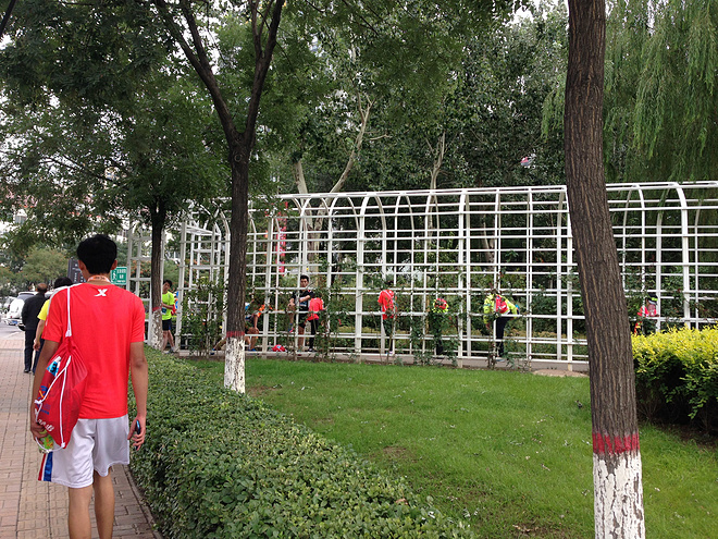 一次纯粹的公路半程马拉松赛、一次大众跑步的狂欢——太原马拉松日记