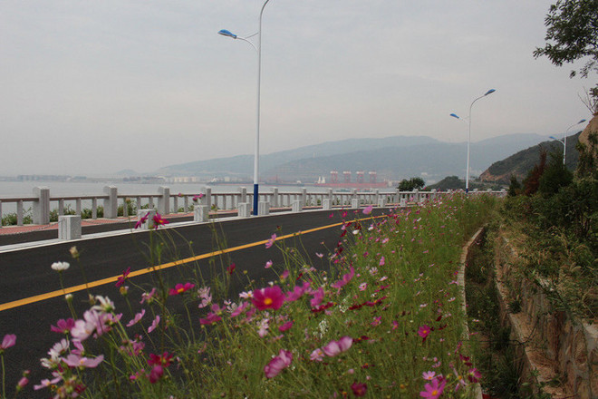 那年夏天，宁静的海