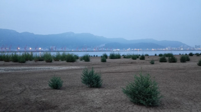 那年夏天，宁静的海