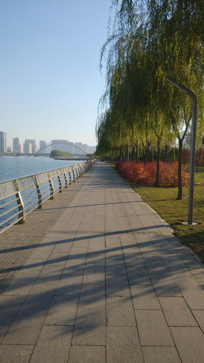 挑战人生第一次马拉松——2015太马全记录！