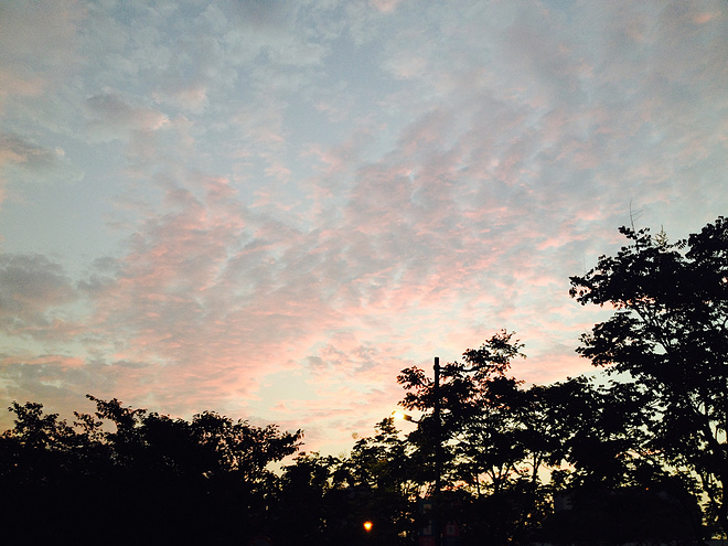 #我和老法师们的LSD#一群快乐人的跑步时光