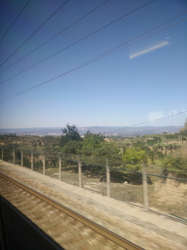 无兄弟，不跑马——第一次用脚来丈量42.195公里