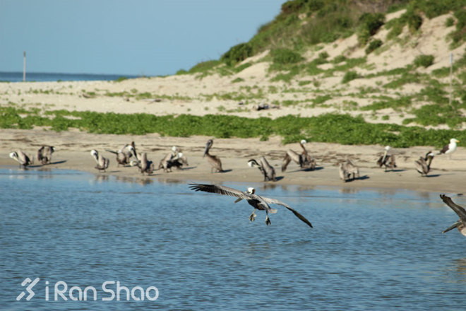 马拉松城纪 | 上马的那个周末，这个星球上还有这些有趣的马拉松