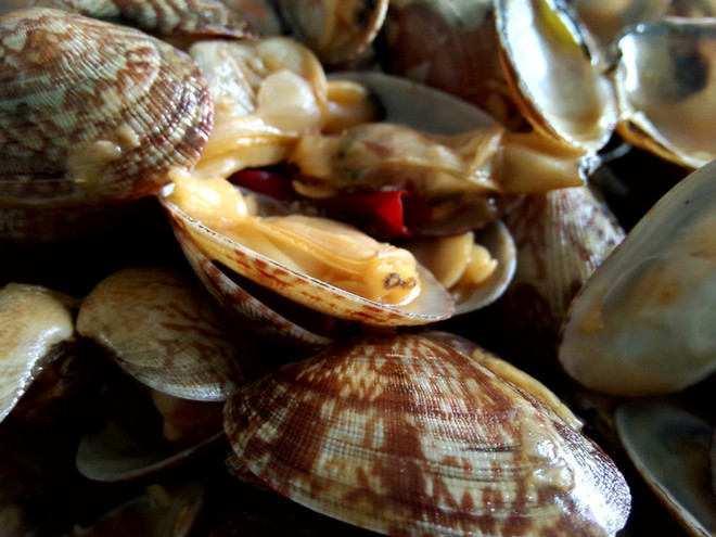 那年夏天，宁静的海