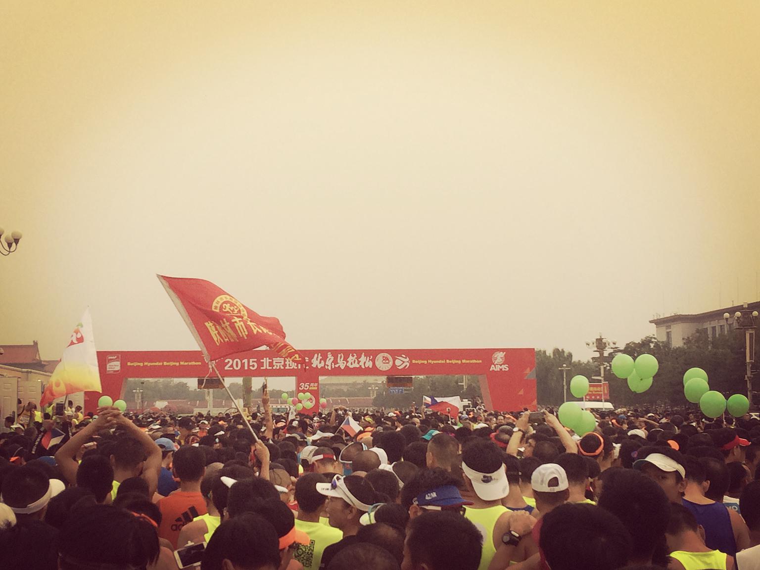 心中有马 世界无“码”