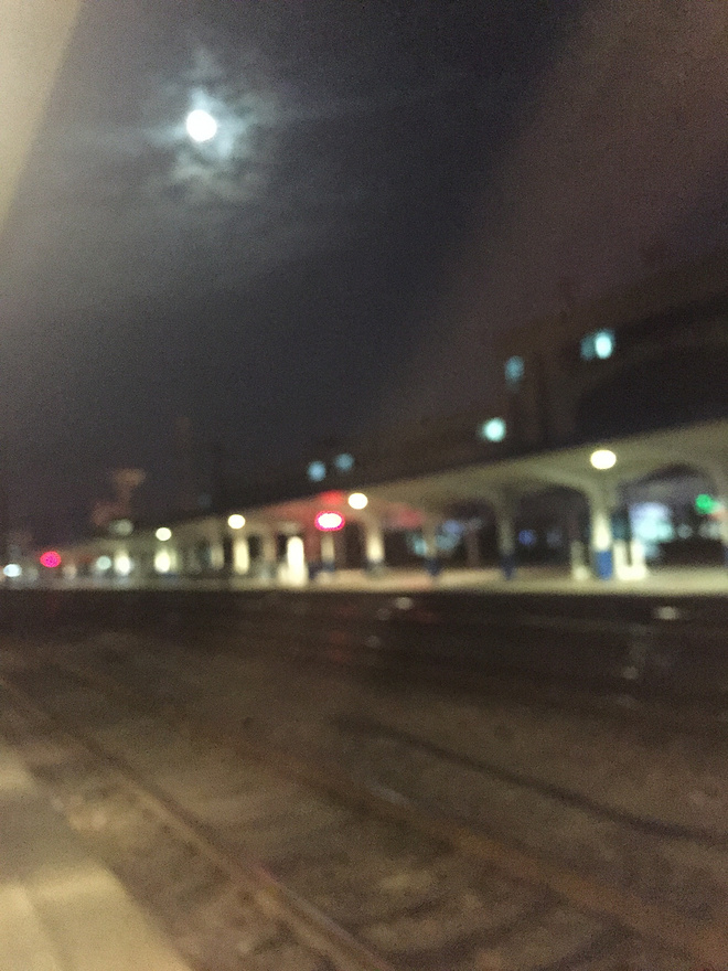 衡水湖人生首次全马之旅