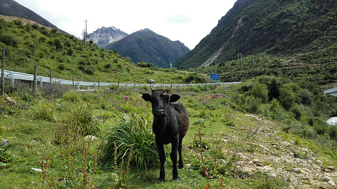 一场没有相见的相遇（上篇）