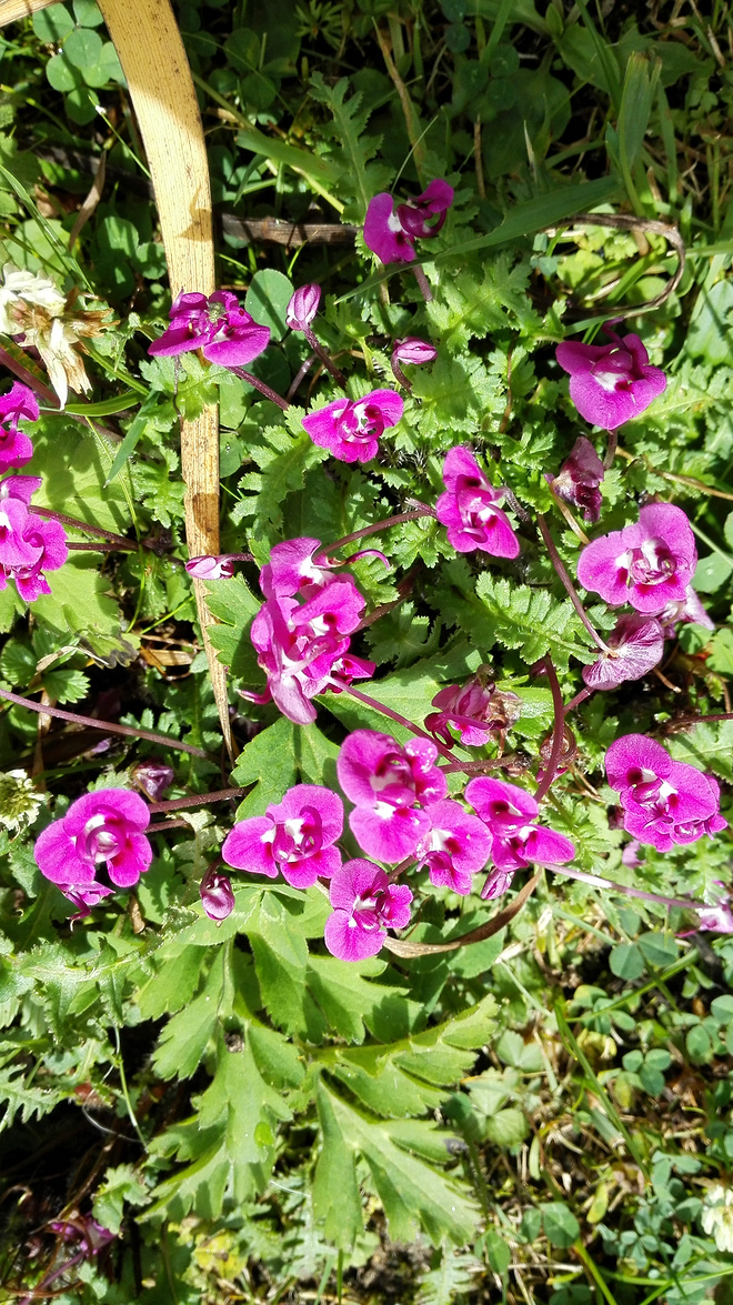 一场没有相见的相遇（上篇）