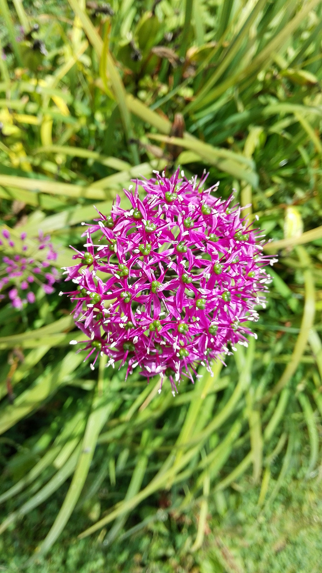 一场没有相见的相遇（上篇）