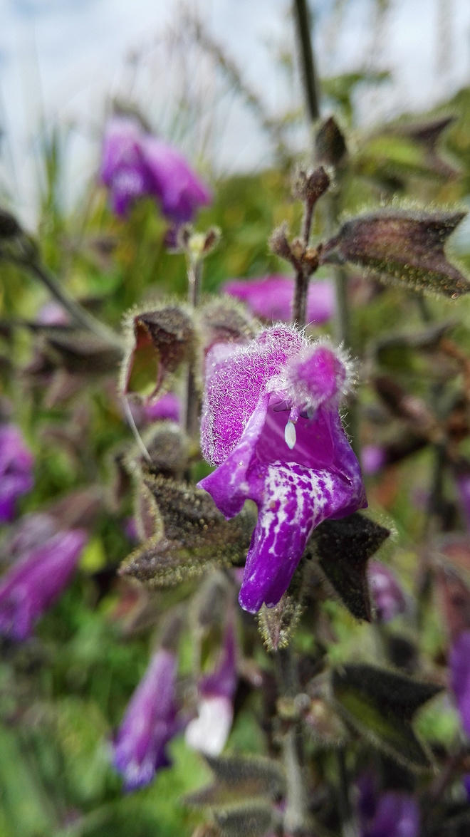 一场没有相见的相遇（上篇）