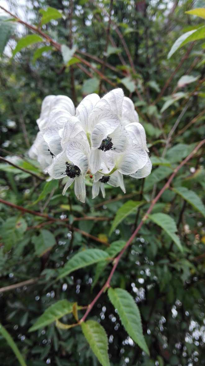 一场没有相见的相遇（上篇）