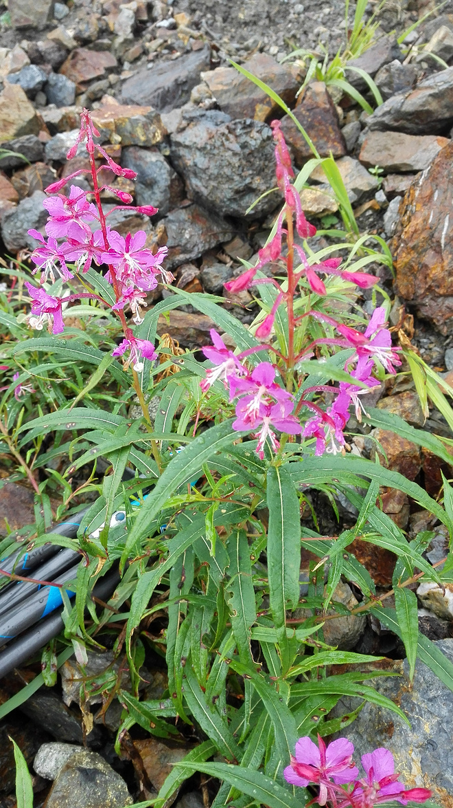 一场没有相见的相遇（上篇）