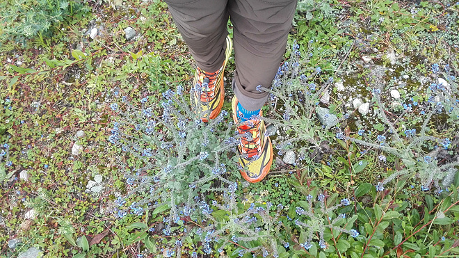 一场没有相见的相遇（上篇）