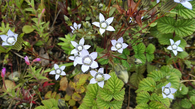 一场没有相见的相遇（上篇）