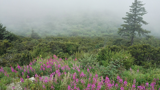 一场没有相见的相遇（上篇）