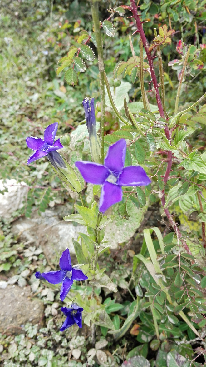 一场没有相见的相遇（上篇）