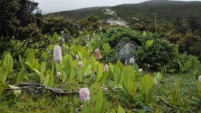 一场没有相见的相遇（上篇）
