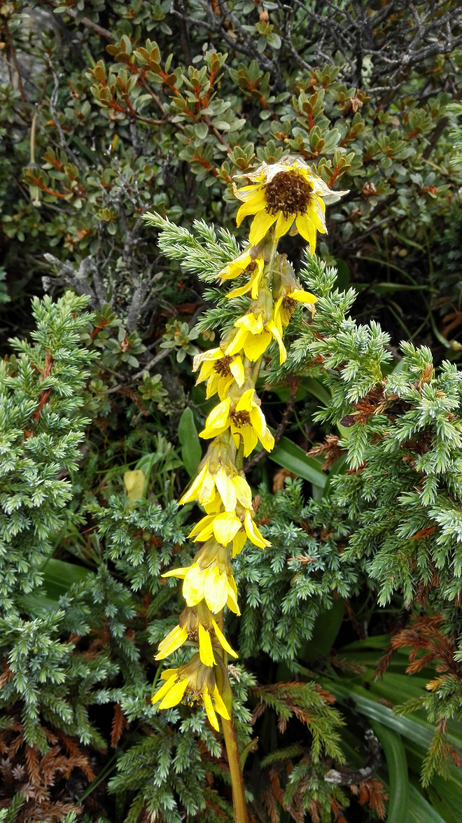 一场没有相见的相遇（上篇）