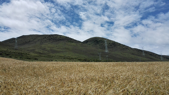 一场没有相见的相遇（上篇）