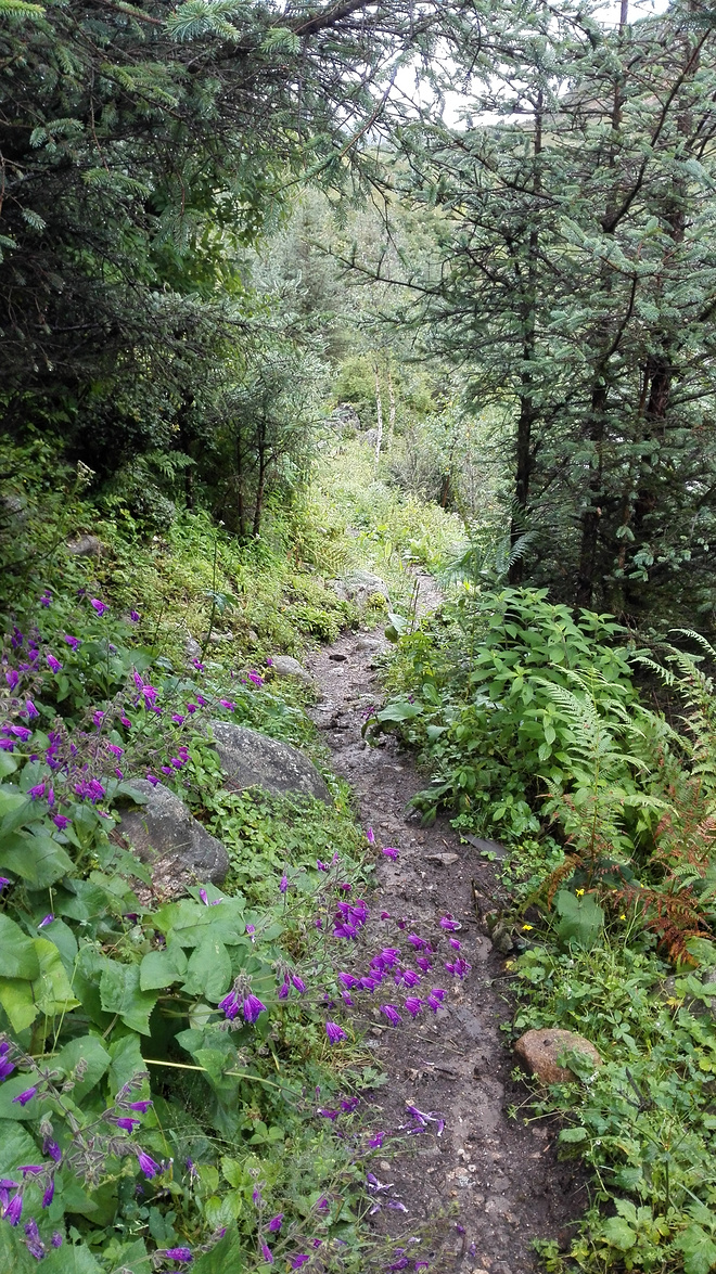 一场没有相见的相遇（上篇）