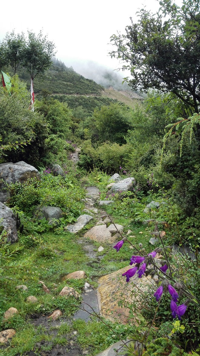 一场没有相见的相遇（上篇）