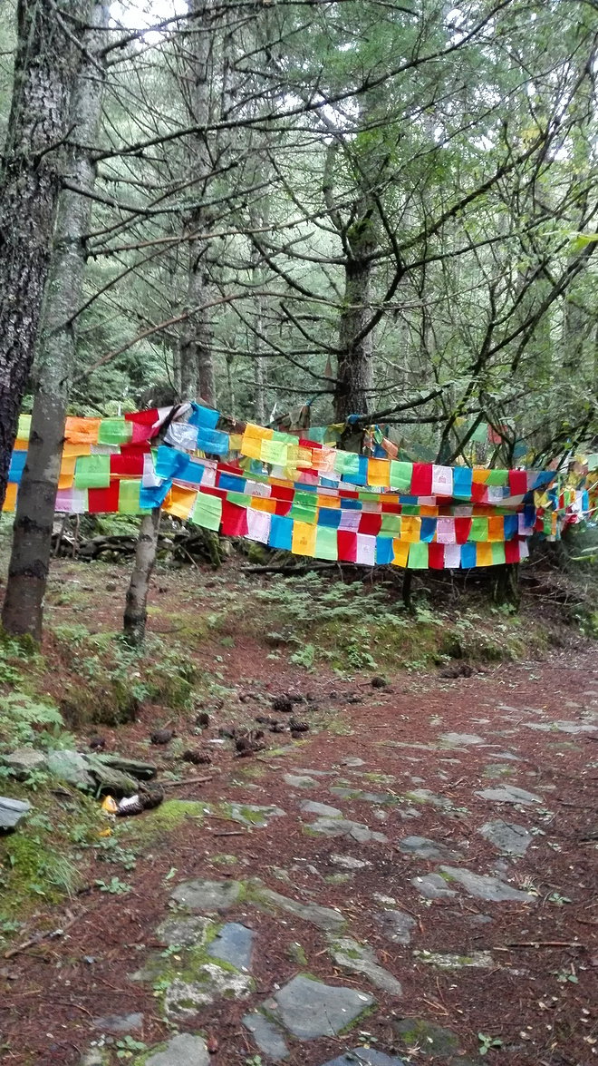 一场没有相见的相遇（上篇）