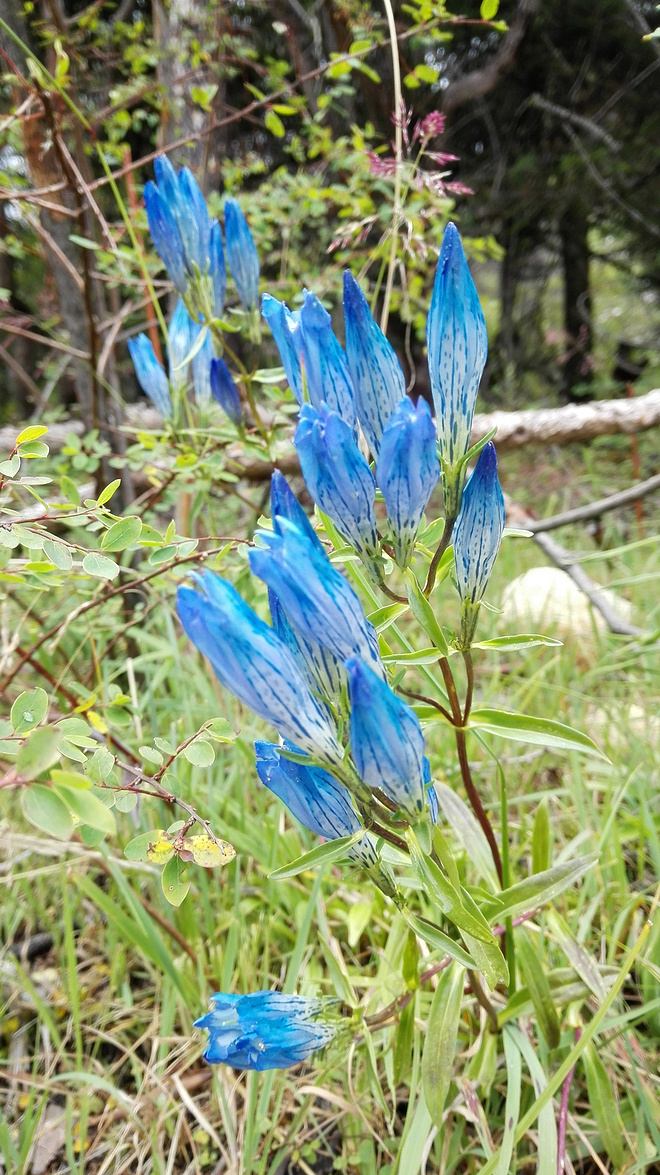 一场没有相见的相遇（上篇）