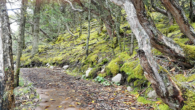 一场没有相见的相遇（上篇）