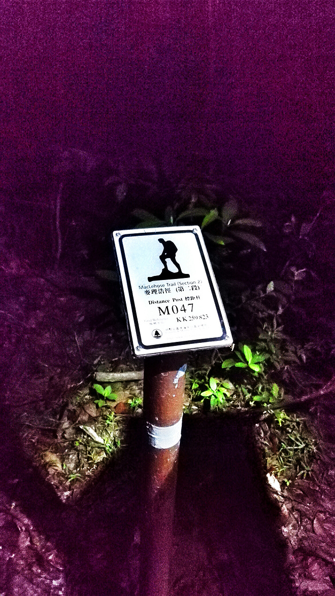 人生总要有一次 在麦径上看风起云涌——虐过后意难忘的麦理浩径挑战之旅