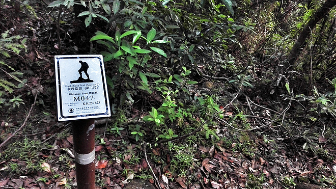 人生总要有一次 在麦径上看风起云涌——虐过后意难忘的麦理浩径挑战之旅